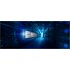 Kingston Technology 480G DC2000B PCIe 4.0 M.2 2280 Enterprise SSD