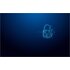 Kingston Technology IronKey 32 GB USB-C Vault Privacy 50C crittografia AES-256, FIPS 197