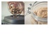 Kitchenaid Frullatore Power Plus colore Argento Medaglia 5KSB8270EMS Artisan 1800W
