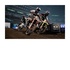 Koch Media Monster Energy Supercross PC