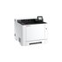 Kyocera ECOSYS PA2101cwx A colori 1200 x 1200 DPI A4 Wi-Fi