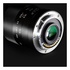 Laowa 50mm f/2.8 Macro APO Micro 4/3