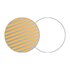 Lastolite Circular Reflector