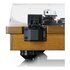 Lenco LS-55WA Giradischi con Trasmissione a Cinghia Legno