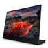 Lenovo ThinkVision M14t Monitor PC 35,6 cm (14