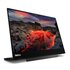 Lenovo ThinkVision M14t Monitor PC 35,6 cm (14