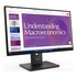 Lenovo ThinkVision T24D-40 Monitor