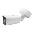 Level One LevelOne FCS-5096 telecamera di sorveglianza Pallottola (forma) Telecamera di sicurezza IP Interno e esterno 1920 x 1080 Pixel Soffitto/muro