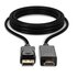 LINDY 36922 cavo di interfaccia e adattatore Displayport HDMI Nero 2 metri