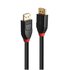 LINDY 41167 cavo DisplayPort 5 m Nero