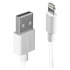 LINDY Cavo USB Tipo A a Lightning Bianco 1 Metro