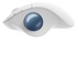 Logitech Ergo M575 Mano Destra Wireless a RF + Bluetooth Trackball 2000 DPI