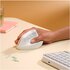 Logitech Lift for Mac mouse Ufficio Mano destra RF senza fili + Bluetooth Ottico 4000 DPI