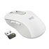 Logitech Signature M650 for Business Mano destra Wireless a RF + Bluetooth Ottico 4000 DPI