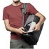 Lowepro Flipside 300 AW III Grigio