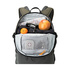 Lowepro Zaino Flipside Trek Bp 450 AW grigio