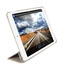 Macally BSTAND5-GO custodia per tablet 24,6 cm (9.7