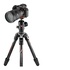 Manfrotto Befree GT in carbonio per fotocamere Sony Alpha