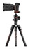 Manfrotto Befree GT in carbonio per fotocamere Sony Alpha