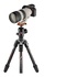 Manfrotto Befree GT in carbonio per fotocamere Sony Alpha