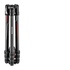 Manfrotto Befree GT in carbonio per fotocamere Sony Alpha