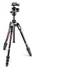 Manfrotto Befree Advanced Twist in carbonio