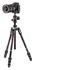 Manfrotto Befree Advanced Twist in carbonio