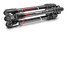 Manfrotto Befree Advanced Twist in carbonio