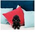 Mattel Star Wars GXB23 peluche