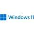 Microsoft Windows 11 Home 64 Bit Ita OEI DVD