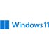 Microsoft Windows 11 Pro Licenza con etichetta
