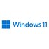Microsoft Windows 11 Pro Prodotto completamente confezionato (FPP) 1 licenza/e