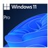 Microsoft Windows 11 Pro Prodotto completamente confezionato (FPP) 1 licenza/e