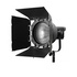 Nanlite Fresnel con Alette per attacco Bowens