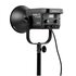Nanlite FS-200B Bicolor 2KIT con stativi e borsa