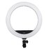 Nanlite Halo 16C 31 W