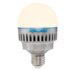 Nanlite Kit Pavo Bulb 10C RGBWW 12 Pezzi + Accessori