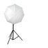 Nanlite Softbox a Lanterna 80cm Attacco Bowens LT-80