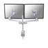 NEWSTAR FPMA-D930D Supporto da scrivania 30" Argente