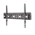 NEWSTAR LFD W1640MP 75