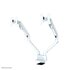 NEWSTAR Neomounts by Newstar Supporto da scrivania per monitor