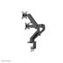 NEWSTAR Neomounts by Newstar supporto da scrivania