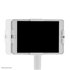 NEWSTAR Neomounts FL15-625WH1 Supporto da pavimento per tablet 7.9-11