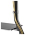 NEWSTAR NS-M3800BLACK 100