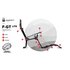 Next Level Racing Simulatore pieghevole F-GT LITE