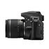 Nikon D3400 + AF-P 18-55mm f/3.5-5.6 G DX VR Stabilizzato