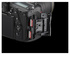 Nikon D780 Body