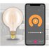 Nilox Marmitek Glow XXLI Lampadina intelligente 6 W Trasparente, Giallo Wi-Fi