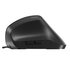 Nilox MOUSB3013 mouse Ufficio USB tipo A Ottico 3600 DPI