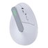 Nilox VERTICAL DUAL WIRELESS MOUSE RECHARGEABLE WHITE